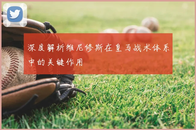 深度解析维尼修斯在皇马战术体系中的关键作用